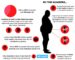 Cardiovascular Health, Gut Microbiome, and Nutrition: A 2025 Review