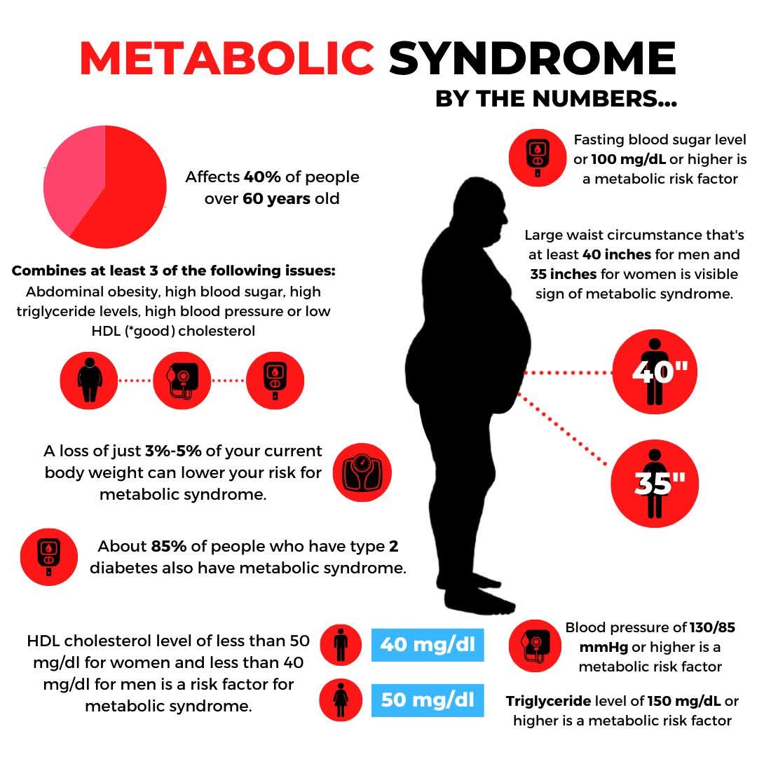 Cardiovascular Health, Gut Microbiome, and Nutrition: A 2025 Review