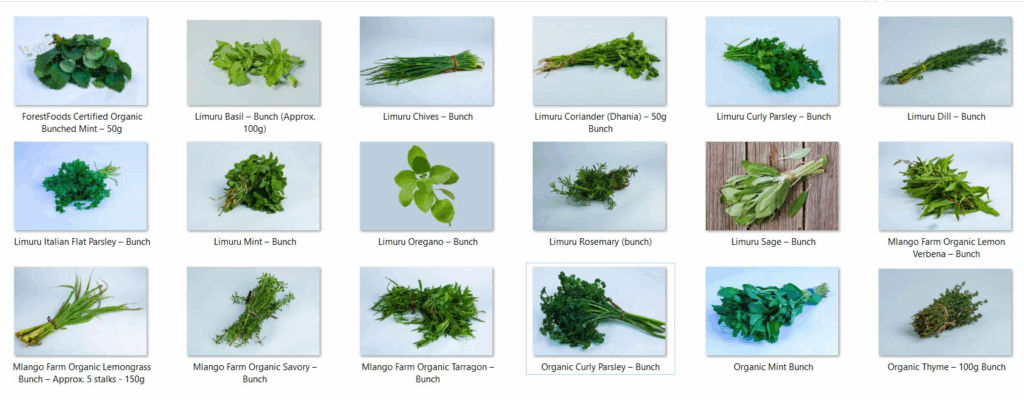 Review of Ethno-Medicinal, Phytochemistry, and Pharmacological Importance of African Herbal and Vegetable Remedies