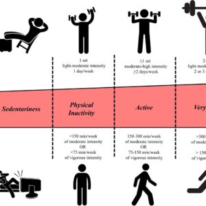 Mitochondrial Optimization for Longevity: Integrating Resistance Training, Zone 2 Protocols, and Metabolic Stress Adaptations
